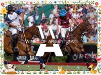 开云体育APP下载-阿根廷代表团在马术比赛中夺得金牌