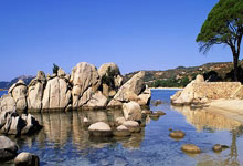 开云体育APP下载-澳大利亚队夺得篮球胜利，登上领奖台的简单介绍