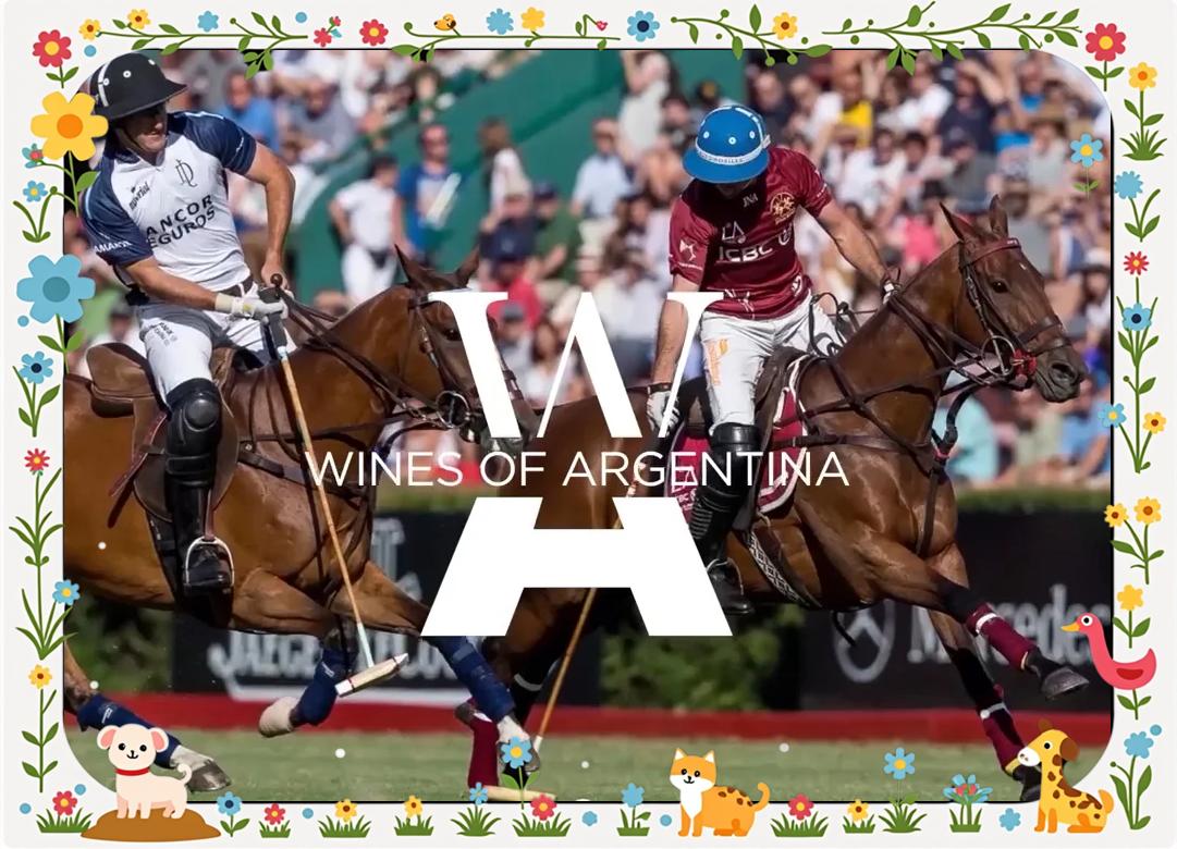 阿根廷代表团在马术比赛中夺得金牌