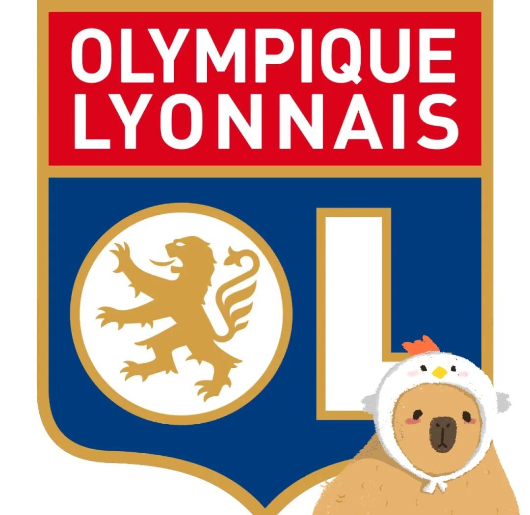 关于里尔将对阵梅斯，力争主场胜利的信息