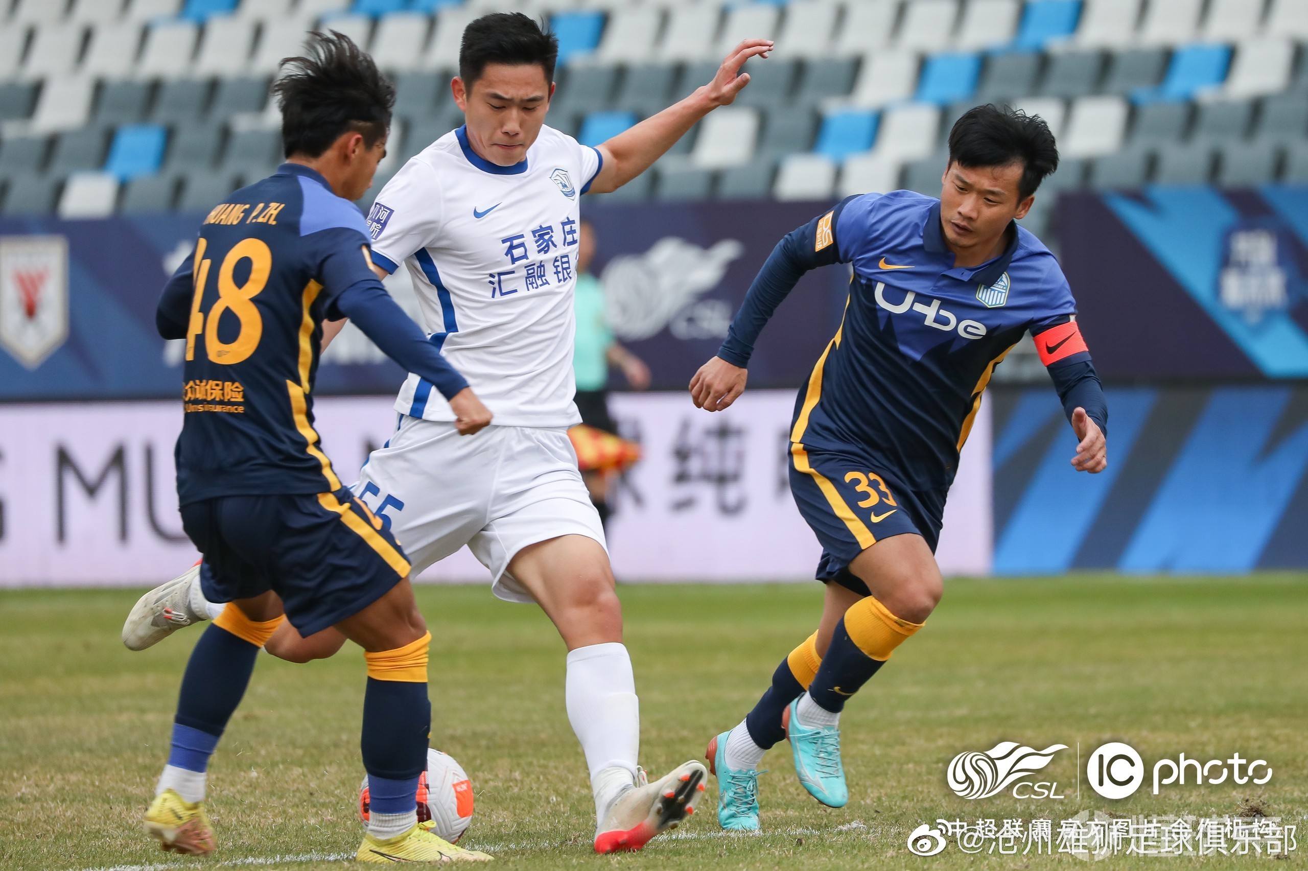 雄狮战胜黄蜂，收获胜利