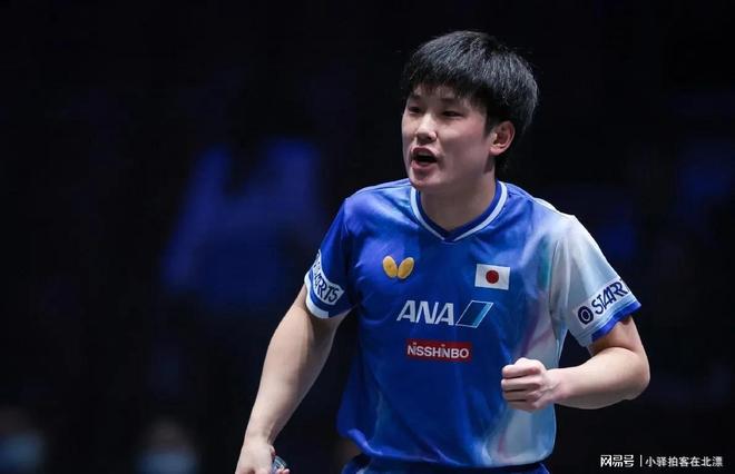 关于瑞典队轻取德国队,张本智和高光表现的信息 关于瑞典队轻取德国队,张本智和高光表现的信息